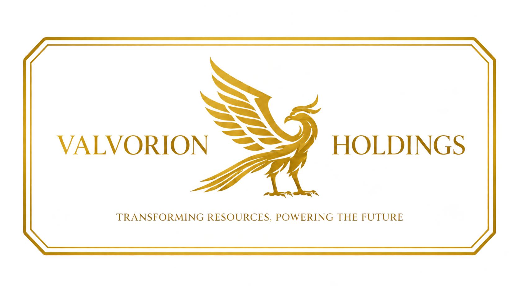 Valvorion Holding